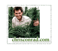 Chris Conrad